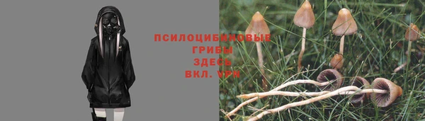 мдпв Волосово