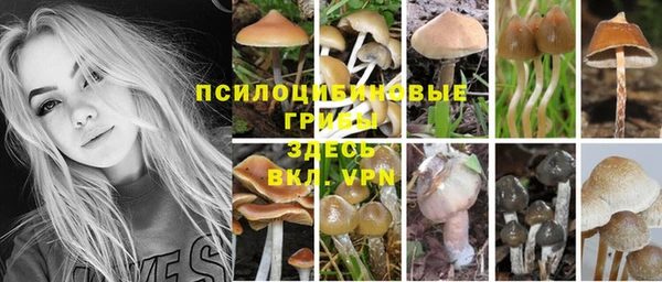 спайс Володарск