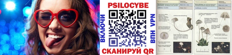 Галлюциногенные грибы мухоморы  Купить  Красный Кут 